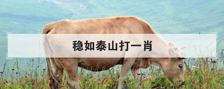 稳如泰山打一肖