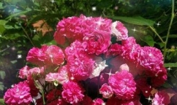 怎样画一幅母亲节送给妈妈的画