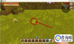 迷你世界怎么种植小麦