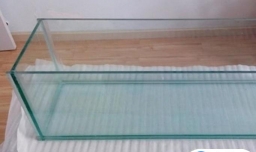 宠物青蛙怎么养