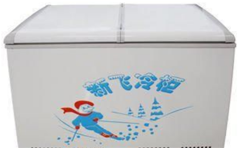 冰柜排行榜前十名家用