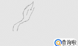 色彩静物单体训练——白菜