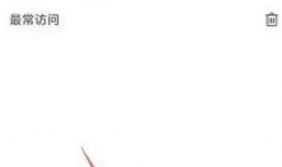 pure浏览器退出时自动清除数据如何设置