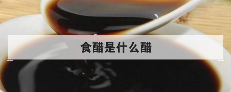 食醋是什么醋
