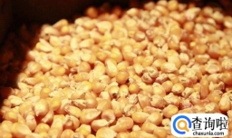 发酵玉米粒制作方法