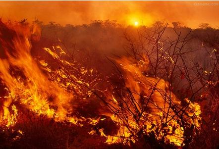 梦见火是什么意思
