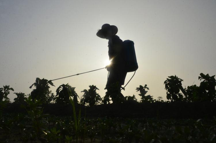 我国精耕细作农业存在于哪些王朝