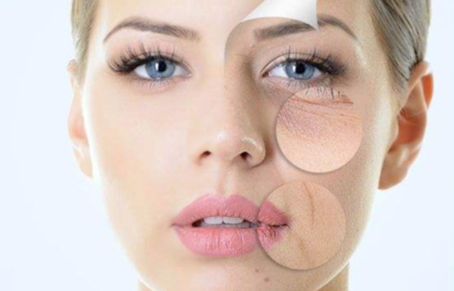 抗氧化是什么意思