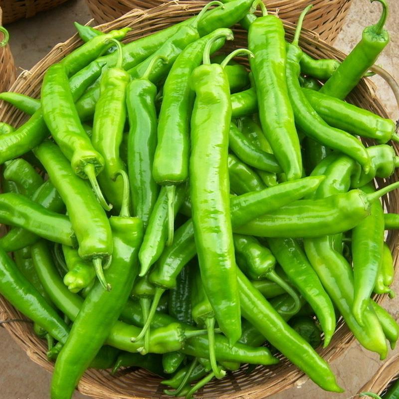  防癌十大类食物排行榜