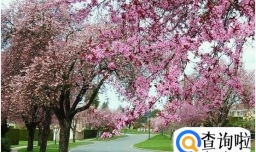 大连最佳旅游时间是什么时候