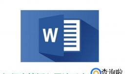 word中，如何去掉插入尾注后出现的横线