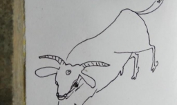 怎样画简笔画公牛？