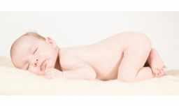 baby是什么意思英文