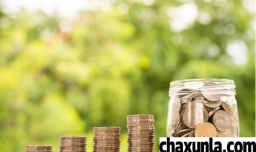 征信花了没有逾期要养几个月