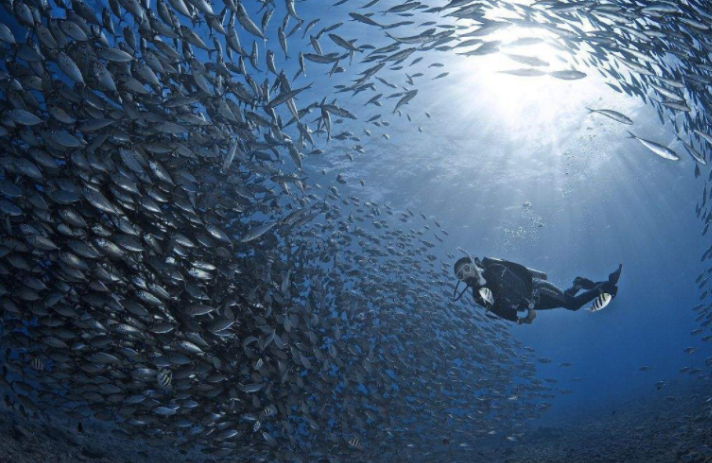 世界最深的海沟