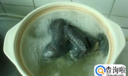 乌鸡山药汤怎么做