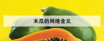 木瓜的网络含义