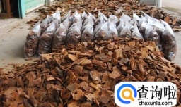 兰花怎么养：兰花植料配比--树皮篇