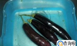 怎样做好吃到逆天的烤茄子