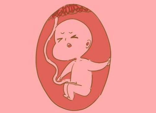 股骨长是什么意思