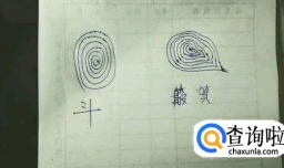教你怎么识别手指纹路（箕斗纹）及指纹含义