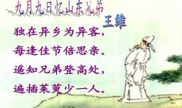 独在异乡为异客的异是什么意思