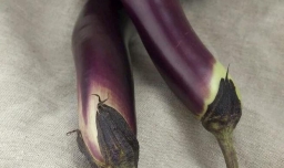 茄子素馅饺子的做法