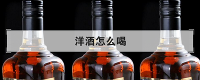 洋酒怎么喝
