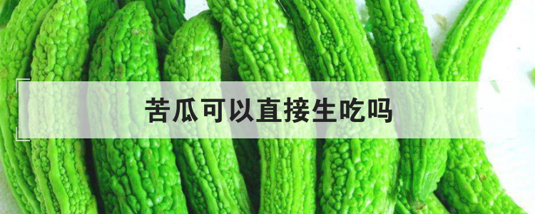 苦瓜可以直接生吃吗