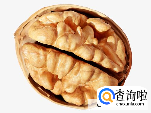 吃什么食物对肾有好处