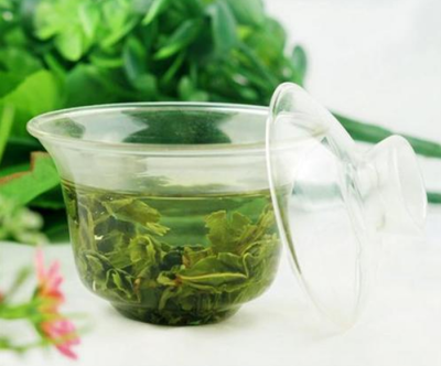 铁观音属于什么茶