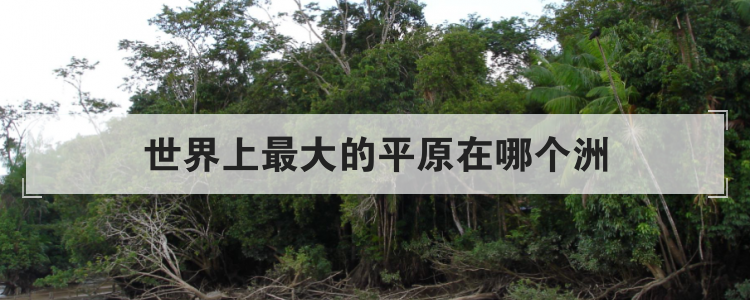 世界上最大的平原在哪个洲