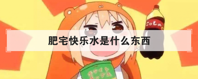 肥宅快乐水是什么东西