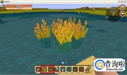 迷你世界怎么种植水稻？