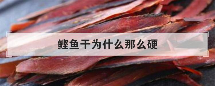 鲣鱼干为什么那么硬