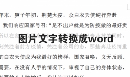 图片文字转换成word