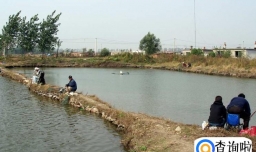 2023禁渔期河流旁边有个水坑能钓鱼吗