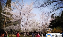 玉渊潭公园有什么好玩的