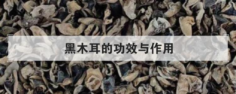 黑木耳的功效与作用br