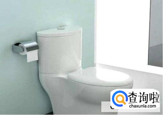 使用马桶时应注意的细节