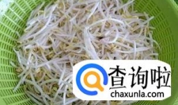 炒绿豆芽家常做法——清炒绿豆芽