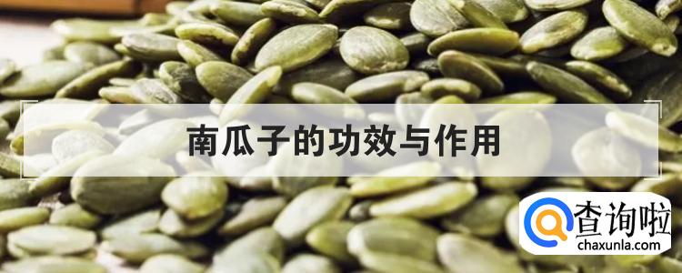南瓜子的功效与作用br