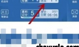 交管12123如何处理违章