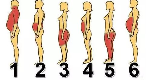 体脂高什么意思