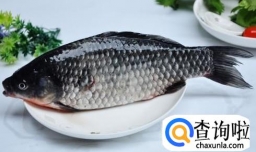 鲫鱼有哪些营养价值？怎样做鲫鱼好吃？