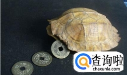 如何用三个硬币（铜钱）算卦预测凶吉