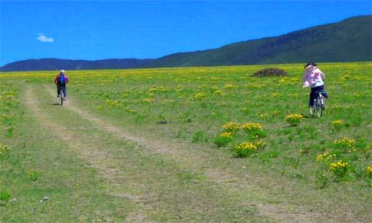 随心所欲的欲是什么意思