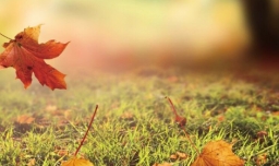 早立秋与晚立秋的区别是什么？