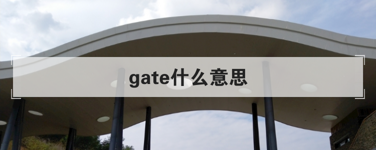 gate什么意思