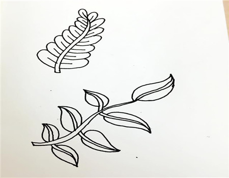树叶简笔画